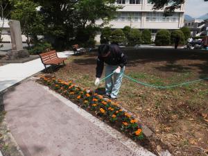 欅広場の花壇定植作業をしました